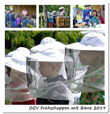 OGV Frühschoppen mit Biene 2019 OGV Frühschoppen mit Biene 2019