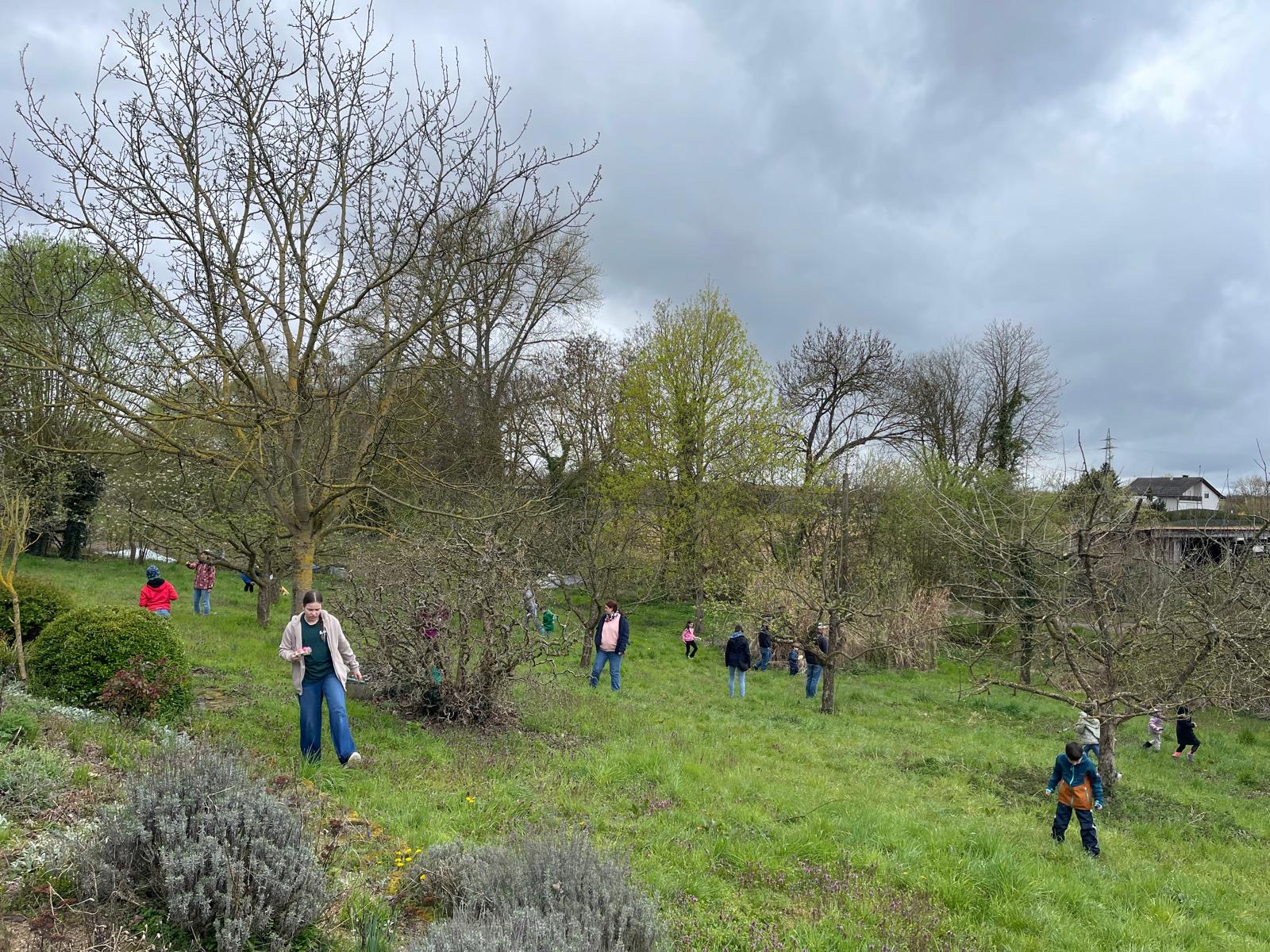 35eadde6-6c9b-4c72-bda5-fecc2130ffbd